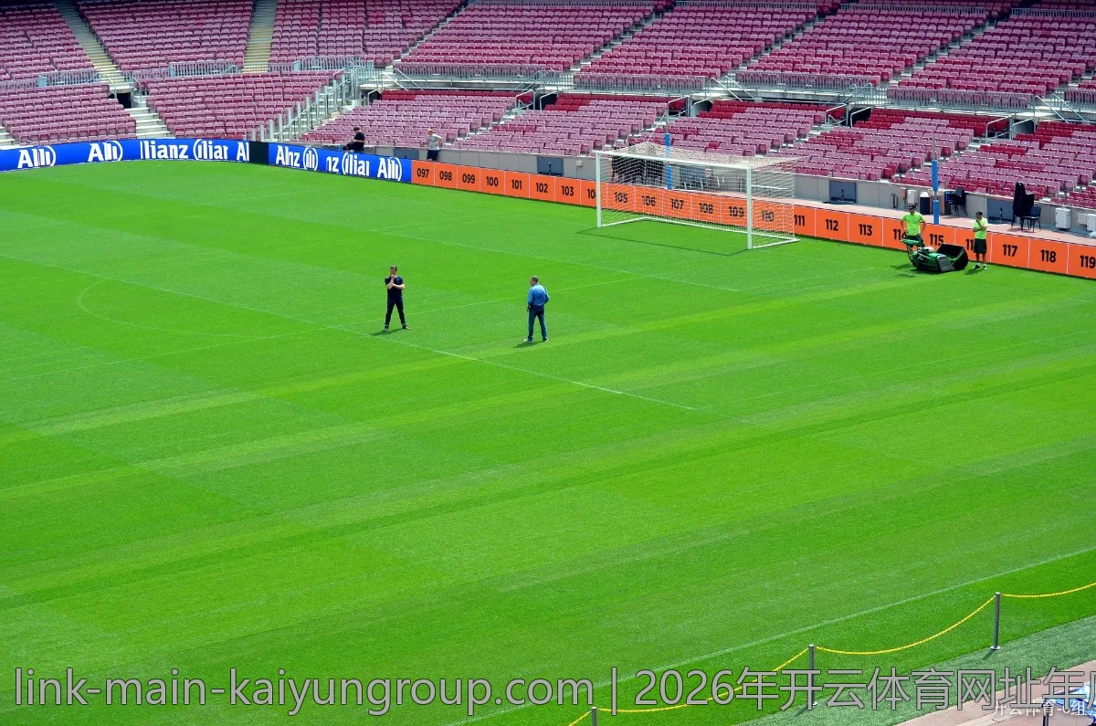 2026年开云体育网址年度盛典，全新赛事大揭秘