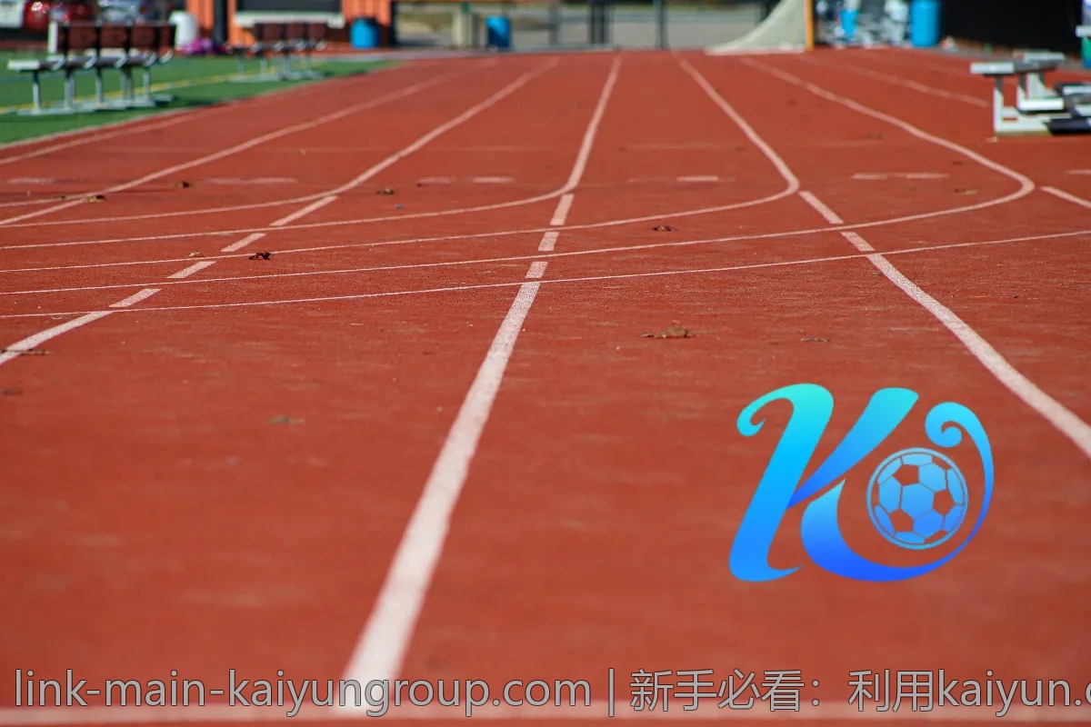 新手必看：利用kaiyun.com进行高效学习的方法