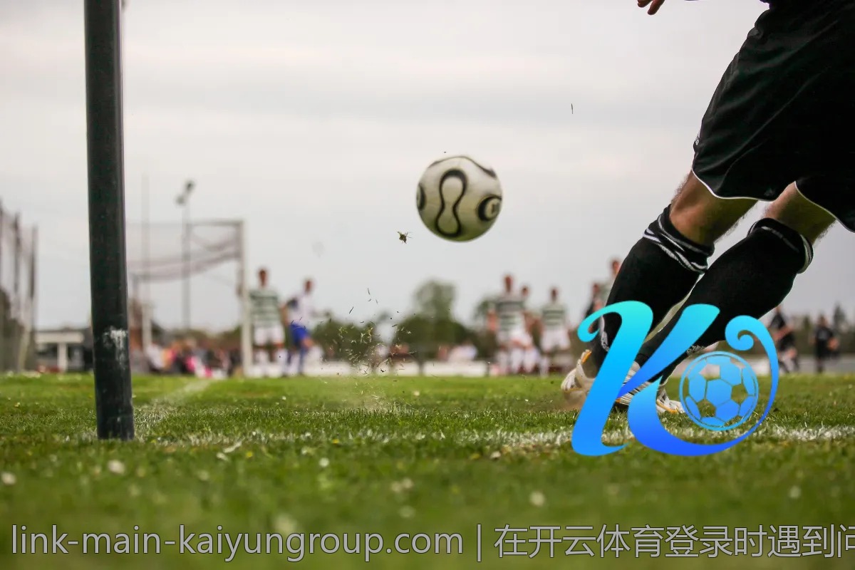 在开云体育登录时遇到问题？这里有解决方案
