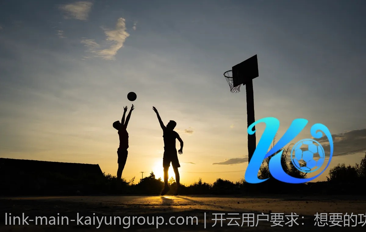 开云用户要求：想要的功能与改善建议